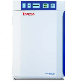 Инкубатор-CO2 8000 WD 3543 Thermo Fisher Scientific